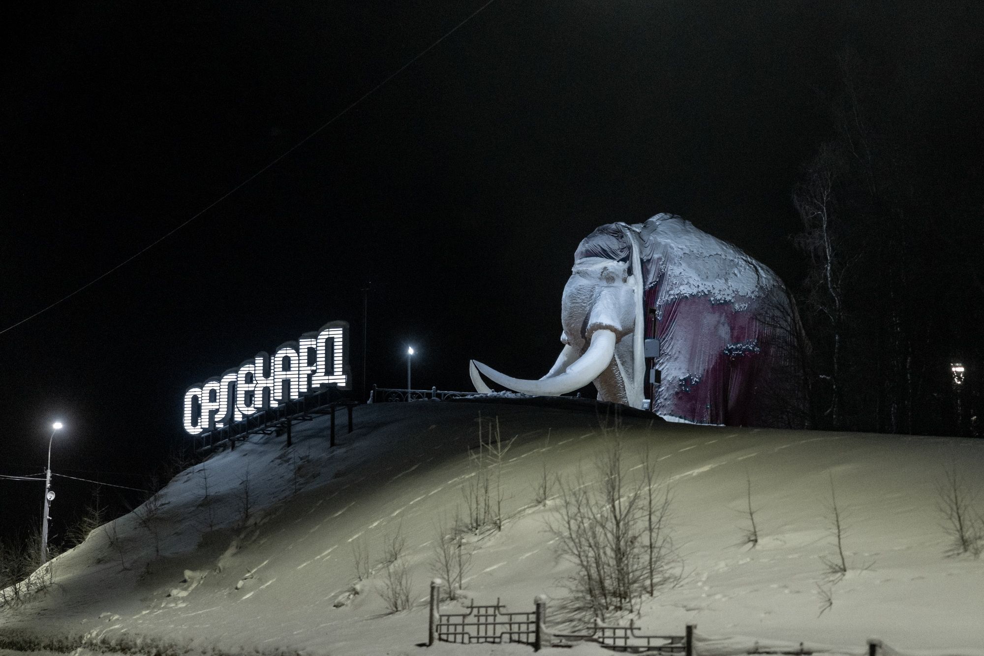 Мамонт Митя
